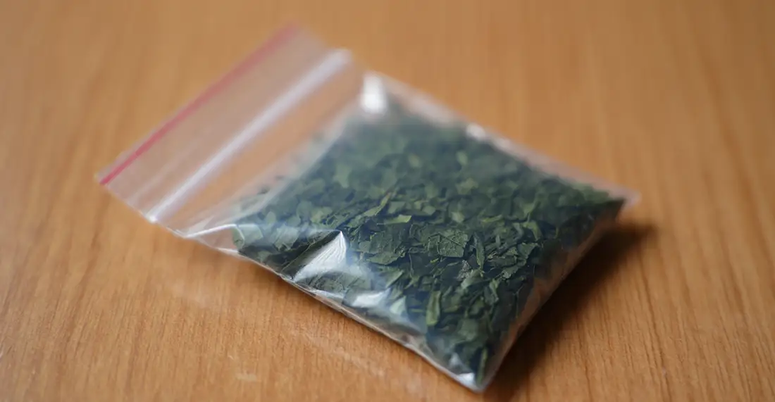 насвай – тихий убийца: чем опасен этот безобидный наркотик